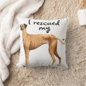 スルーギ クッション (ブランケット)