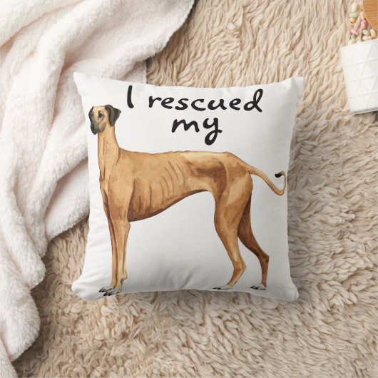 スルーギ クッション (ブランケット)