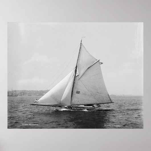 スループバンシー ポスター (正面)