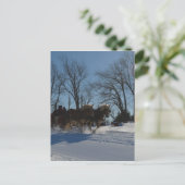 スレイライドストウバーモント ポストカード (スタンド正面)