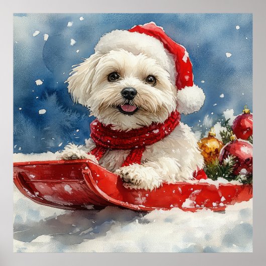 スレッジの中のコトン・ド・テュレアの犬 "Let it Snow" クリスマス ポスター (正面)