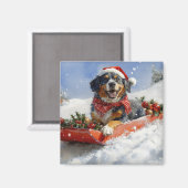 スレッジクリスマスのブルーティック犬 マグネット (正面/裏面)