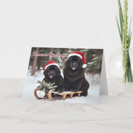 スレットのクリスマスカードに登場するニューファンドランド犬 シーズンカード