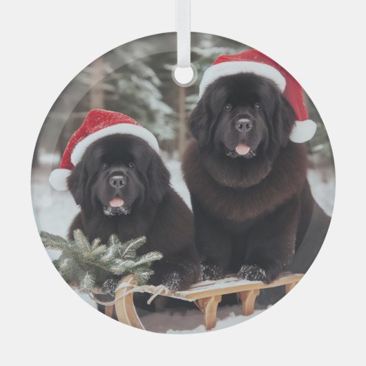 スレッド上の2つの黒いニューフ ガラスオーナメント (正面)