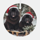 スレッド上の2つの黒いニューフ ガラスオーナメント (裏面)