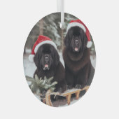 スレッド上の2つの黒いニューフ ガラスオーナメント (正面右)