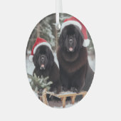 スレッド上の2つの黒いニューフ ガラスオーナメント (正面左)