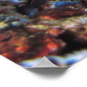 スレンダーハタ ポスター (角)