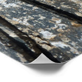 スレートの上の幼貝 ポスター (角)