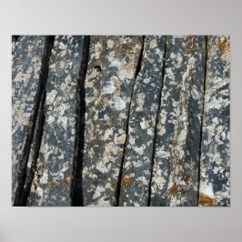 スレートの上の幼貝 ポスター