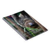 スロスぶら下がったズアウトエディンバラ動物園カード ノートブック (右側)