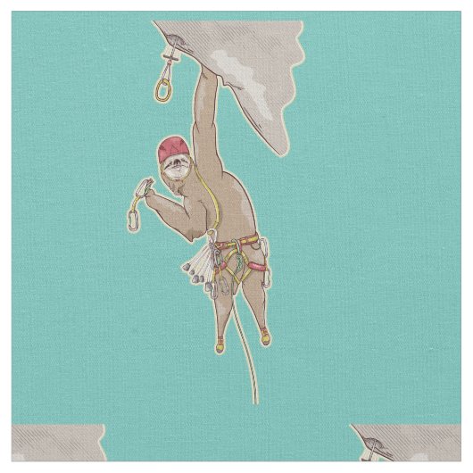 スロスロック登山 ファブリック (クローズアップ)