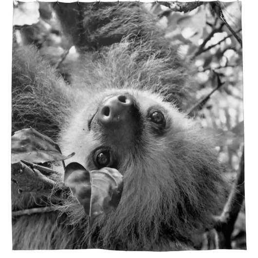 スロス シャワーカーテン (正面)