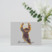 スロッぶら下がったズ・アウト・サンダー_コーブ ポストカード (スタンド正面)