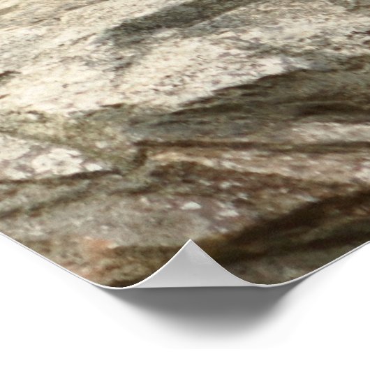 スロッスベアの写真 ポスター (角)