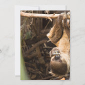 スロッツ・ツリー・トップス・アドベンチャー ご招待状 招待状 (裏面)