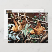 スロットのはがき ポストカード (正面/裏面)