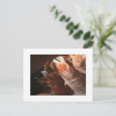 「スロットキャニオン – 水平」 ポストカード (スタンド正面)