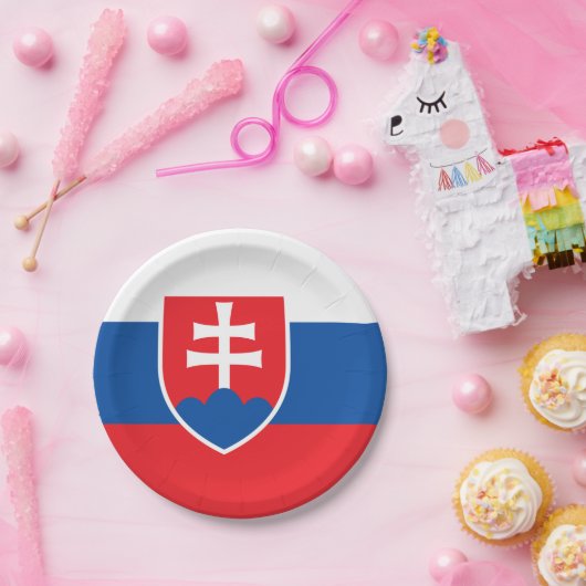 スロバキアの国旗を持つ愛国的紙プレート ペーパープレート