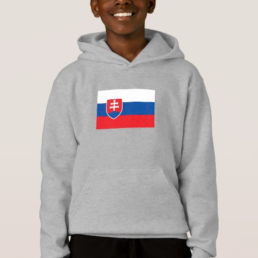 スロバキアの国旗 (正面)