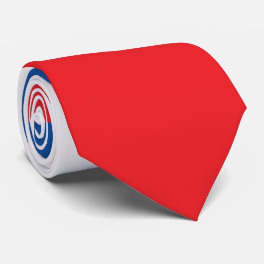 スロバキア国旗 ネクタイ (ロール)