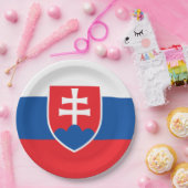 スロバキア国旗 ペーパープレート (パーティー)