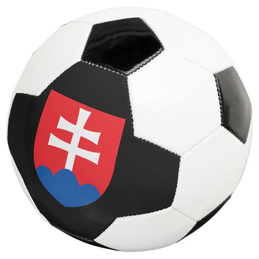 スロバキア コート サッカーボール (3/4)