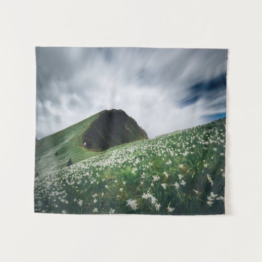 スロベニアのゴリカに何千もの水仙 タペストリー (正面(横))