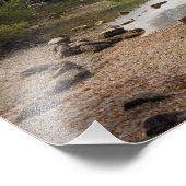 スロベニアのボヒニ湖に沿ったキャビン フォトプリント            (角)