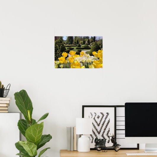 スロベニアのヴォルチジ・ポトク樹木園の黄色いチューリップ ポスター (ホームオフィス)
