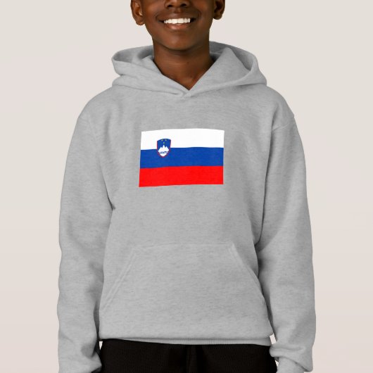 スロベニアの国旗 (正面)
