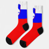 スロベニア国旗の愛国的スロベニア国民プライド ソックス (左)