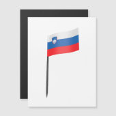 スロベニア国旗の爪楊枝 (正面/裏面)