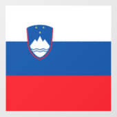 スロベニア国旗 ウィンドウサイン (シート)