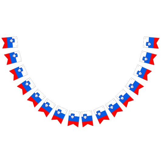 スロベニア国旗 バンティングフラッグ (全)