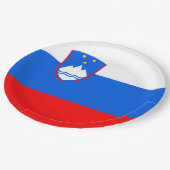 スロベニア国旗 ペーパープレート (アングル)