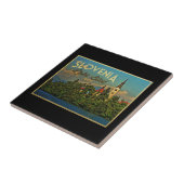 スロベニア湖 タイル (側面)