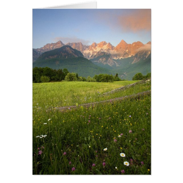 スロベニア草原 (正面)