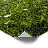 スロベニア、アルプスの風光明媚な写真 ポスター (角)