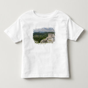 スロベニア、シュタイエルスカ地方(Styria)ツェリェ:街の景色 トドラーTシャツ