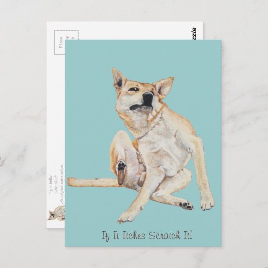 スローガンでかゆい犬の引っおもしろい掻き ポストカード (正面/裏面)