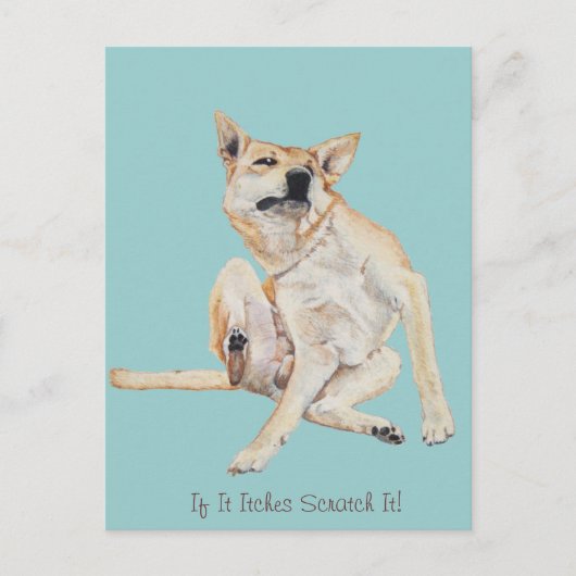 スローガンでかゆい犬の引っおもしろい掻き ポストカード (正面)