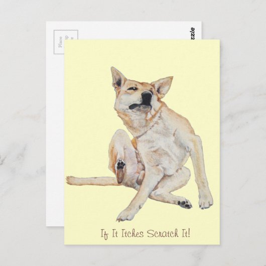 スローガンで絵画かゆい犬がおもしろい引く ポストカード (正面/裏面)