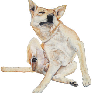 スローガンで絵画かゆい犬がおもしろい引く Tシャツ
