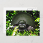 スローコマンド ポストカード (正面/裏面)