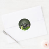 スローコマンド ラウンドシール (封筒)