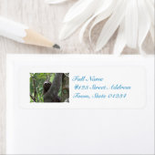 スロース登山ツリー ラベル (インサイチュ)