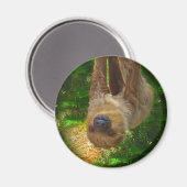 スロース磁石 マグネット (正面/裏面)