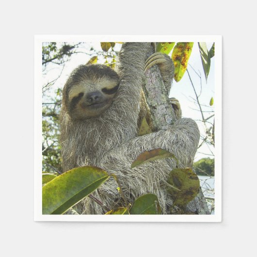 スロース スタンダードカクテルナプキン (正面)