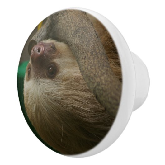 スロース セラミックノブ (右)